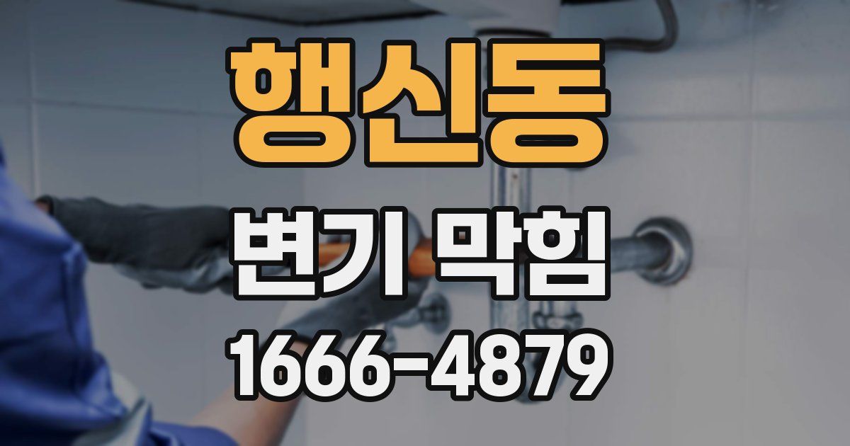 행신동 변기 막힘