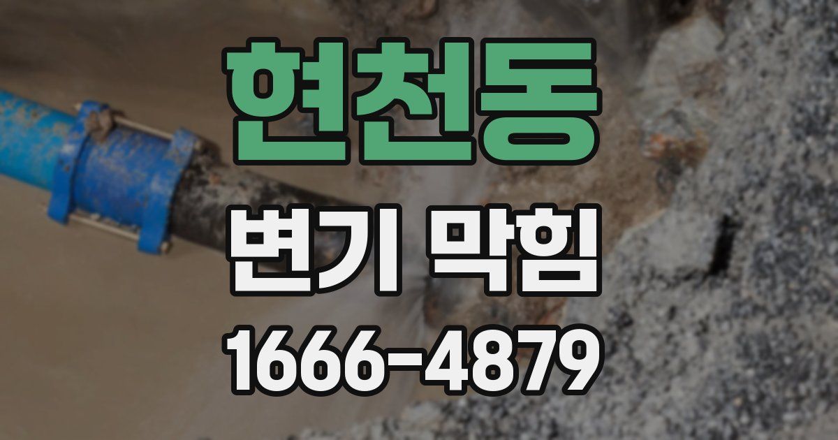 현천동 변기 막힘