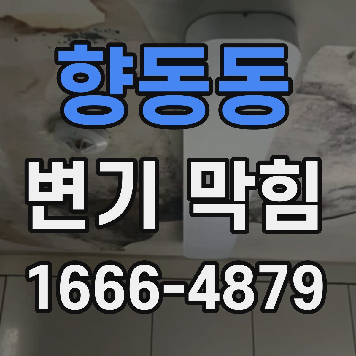 향동동 변기 막힘