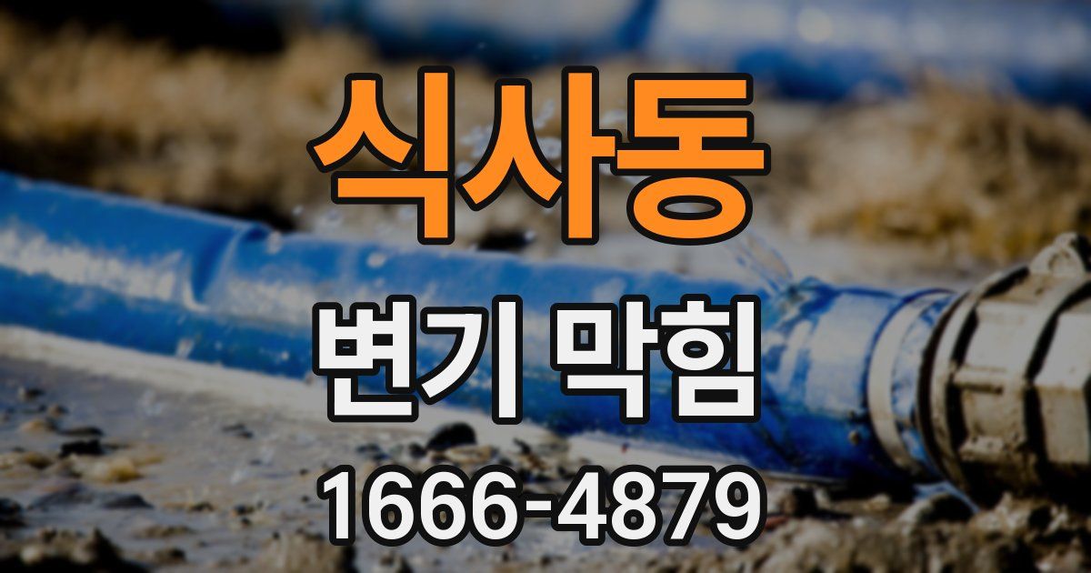 식사동 변기 막힘