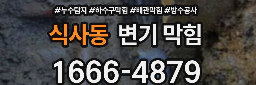 식사동 변기 막힘