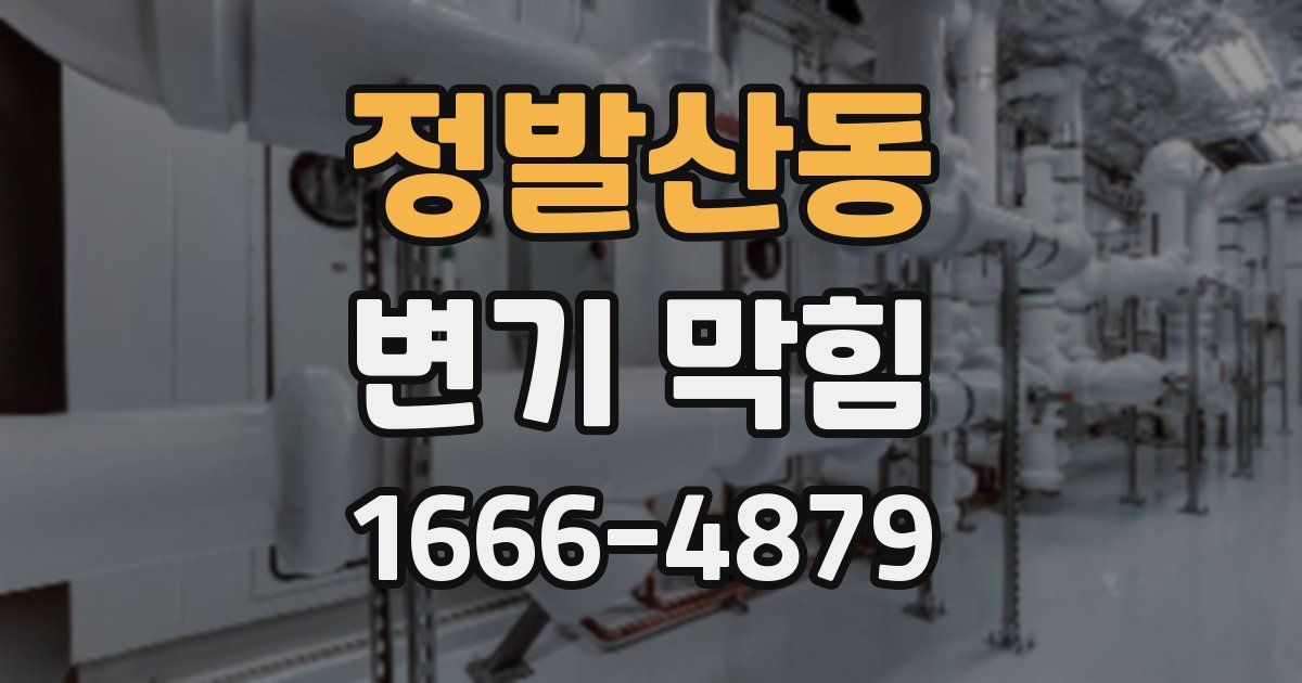 정발산동 변기 막힘