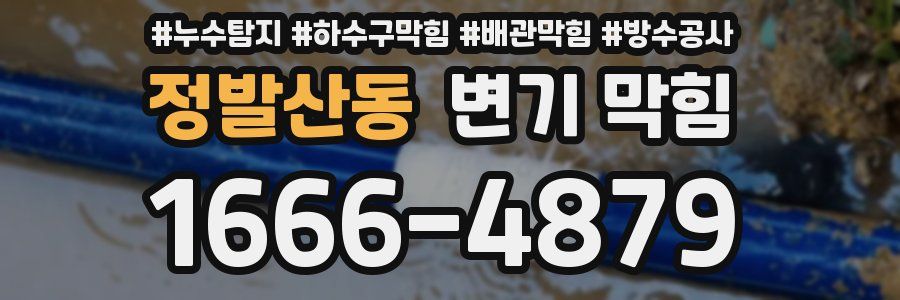정발산동 변기 막힘