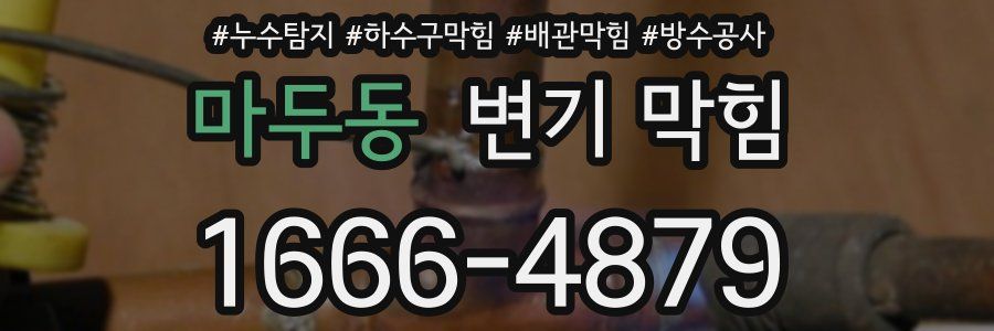 마두동 변기 막힘