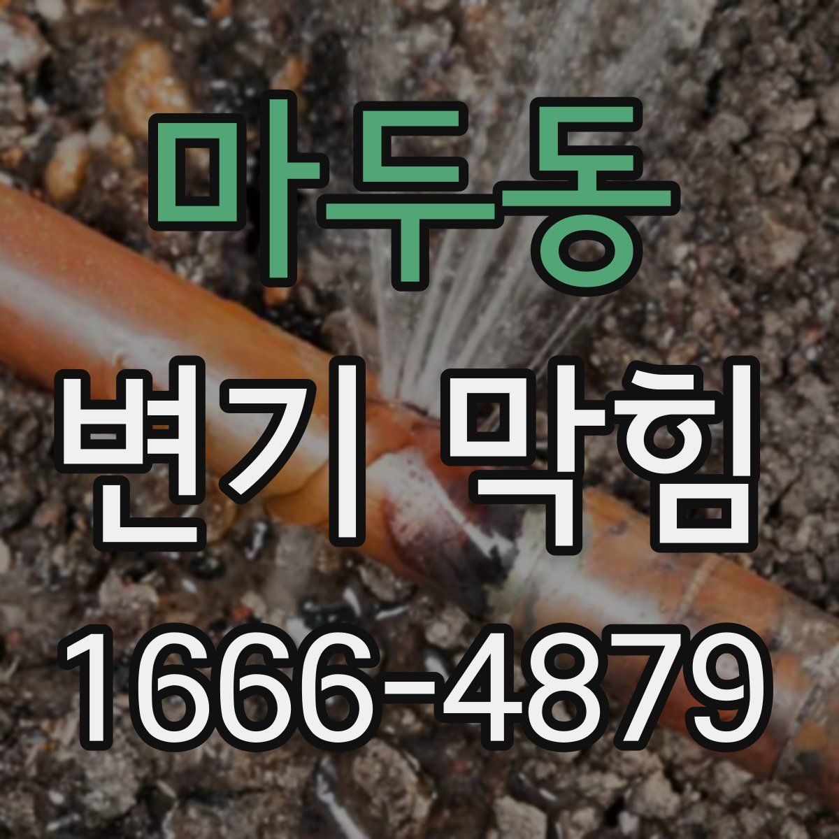 마두동 변기 막힘