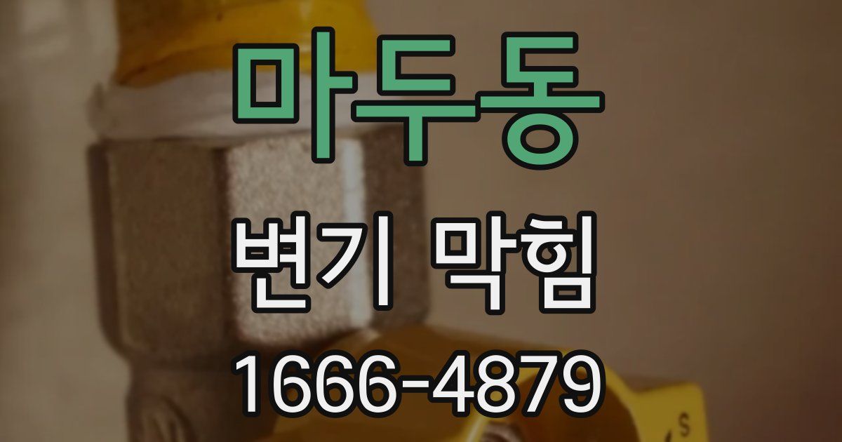 마두동 변기 막힘