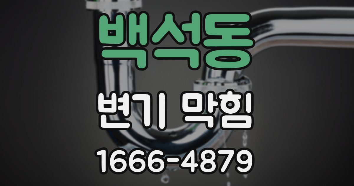 백석동 변기 막힘