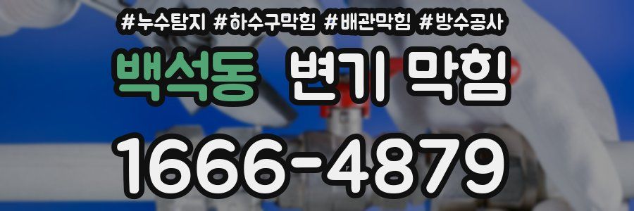 백석동 변기 막힘