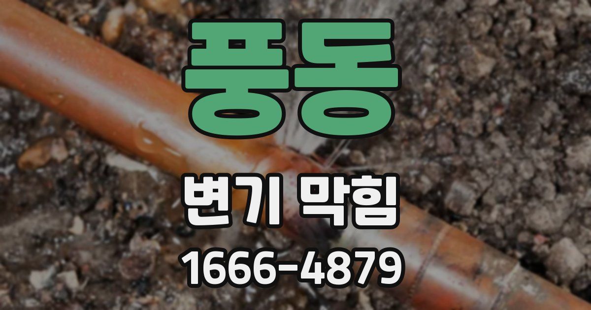 풍동 변기 막힘