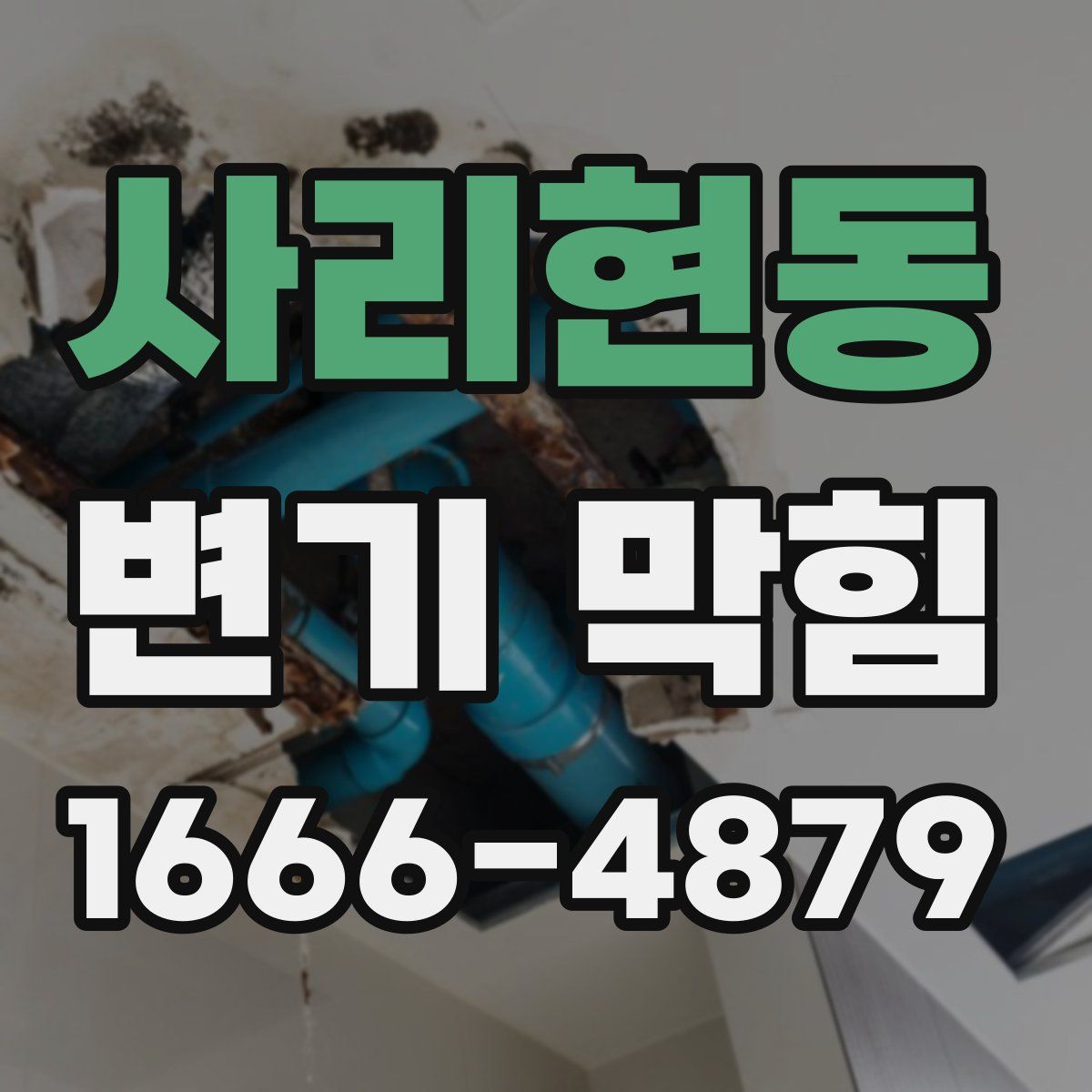 사리현동 변기 막힘