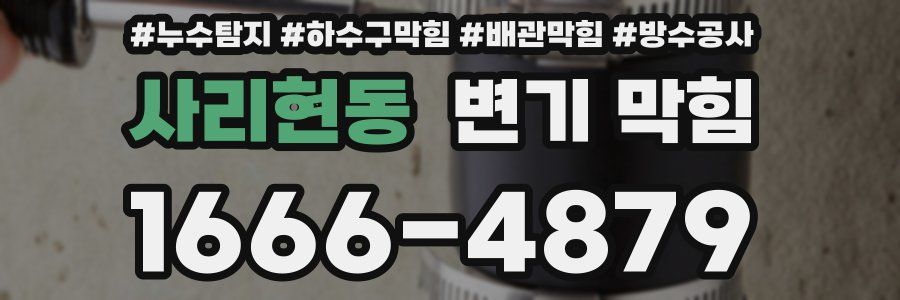 사리현동 변기 막힘