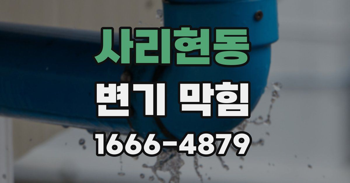 사리현동 변기 막힘