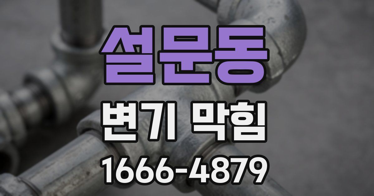 설문동 변기 막힘