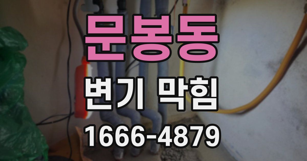 문봉동 변기 막힘