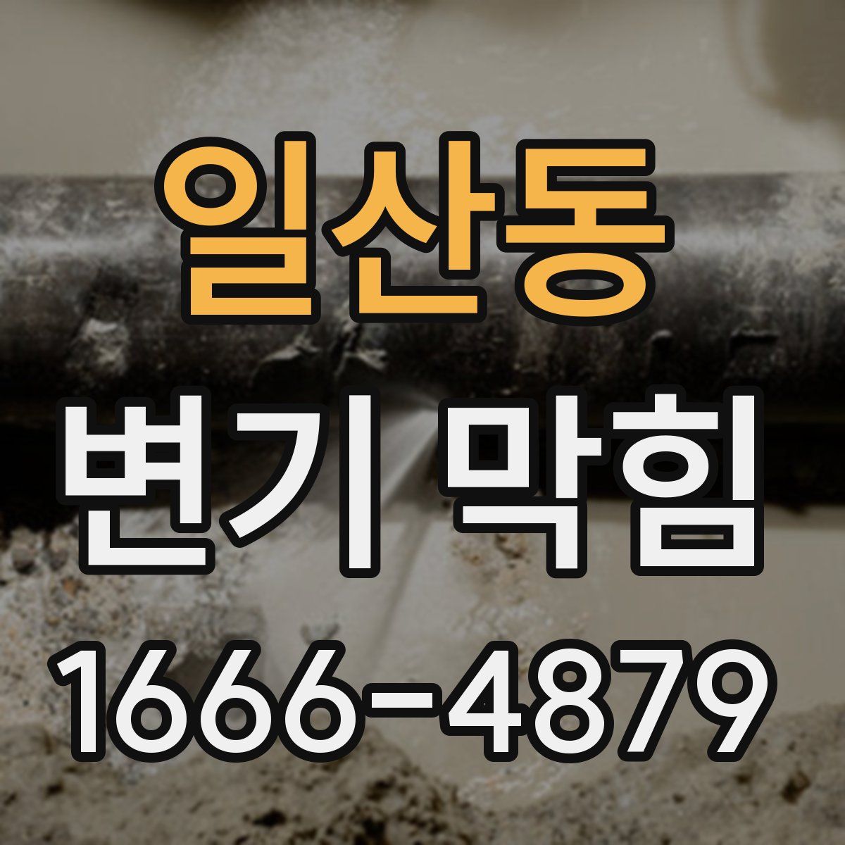 일산동 변기 막힘