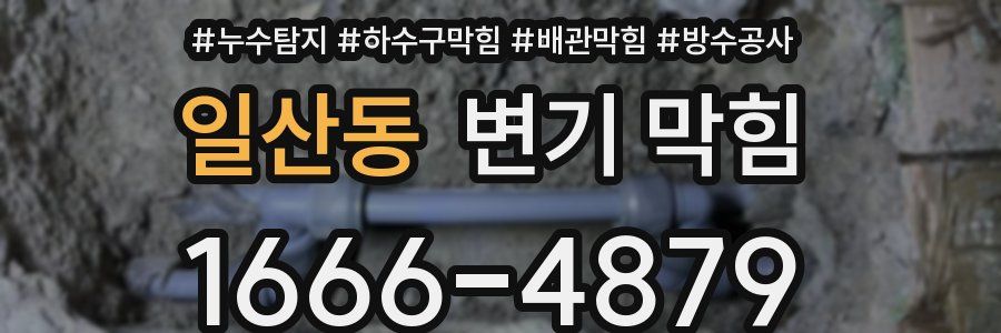 일산동 변기 막힘