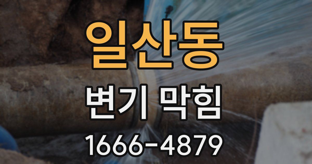 일산동 변기 막힘