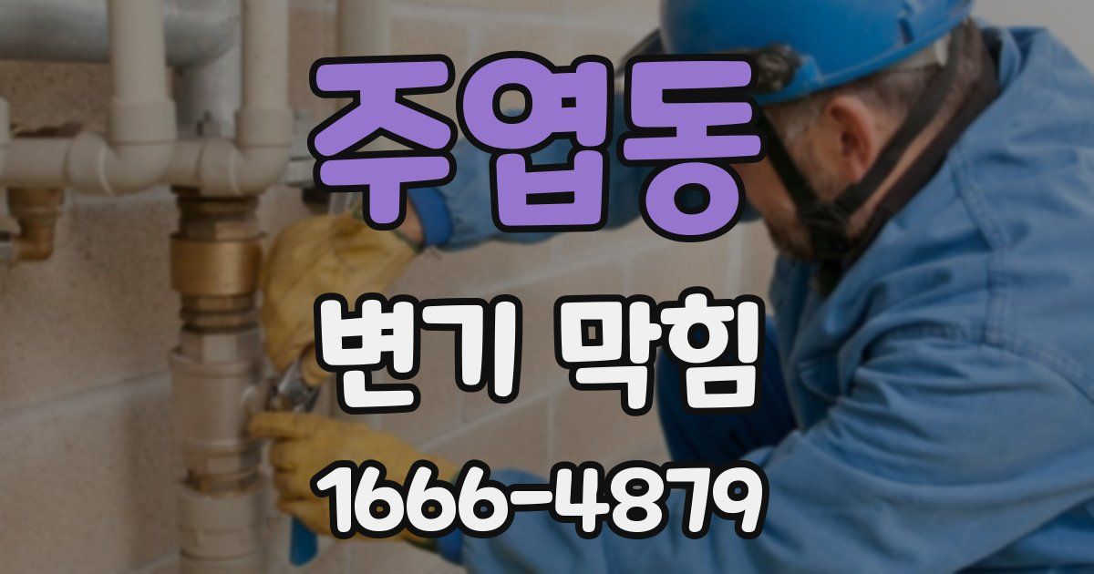 주엽동 변기 막힘