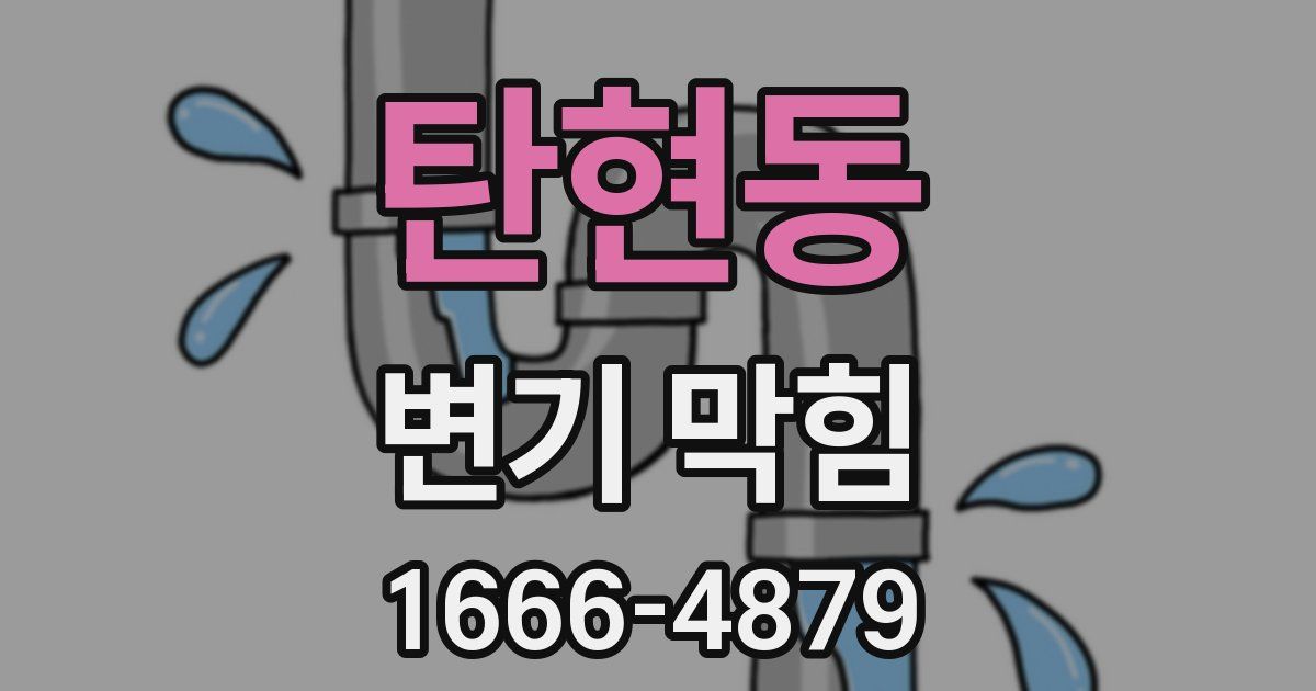 탄현동 변기 막힘