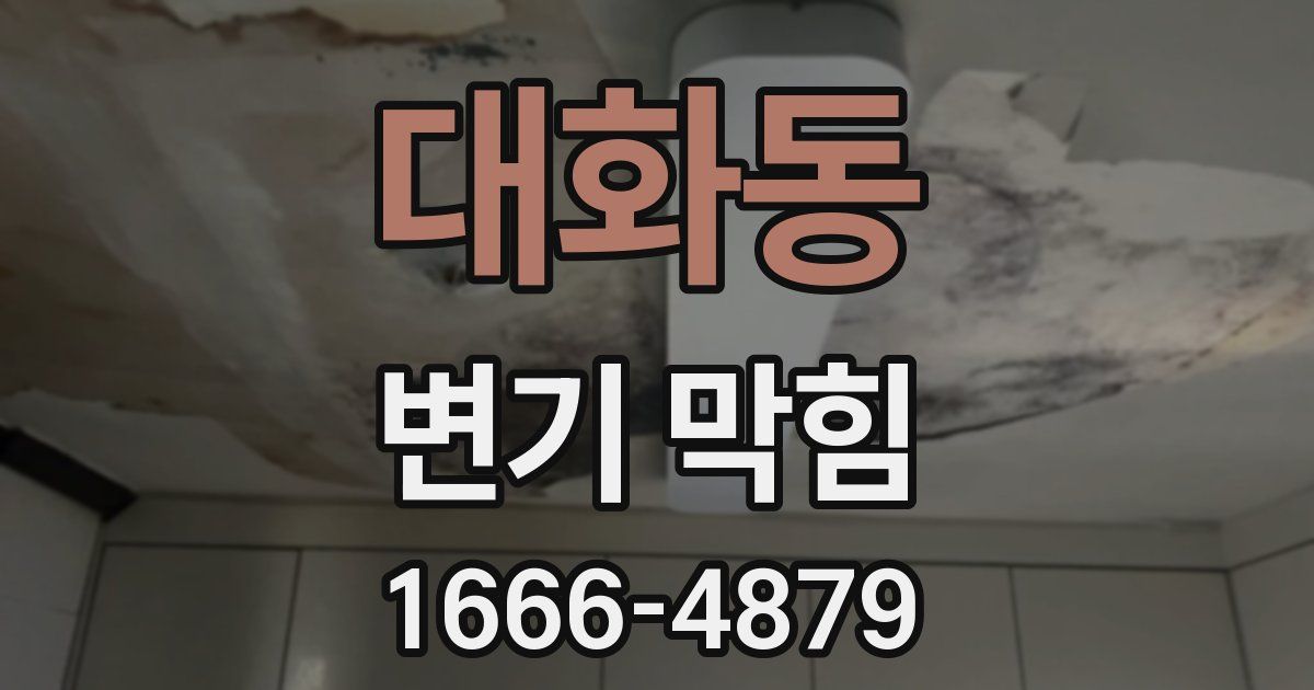 대화동 변기 막힘