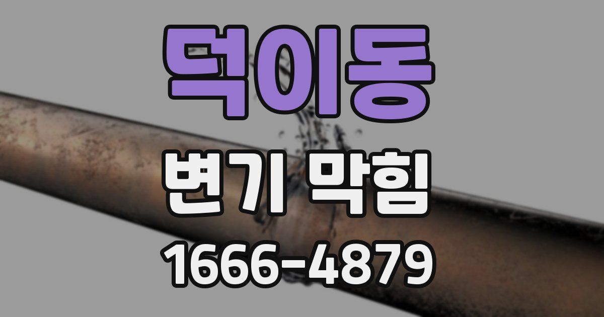 덕이동 변기 막힘