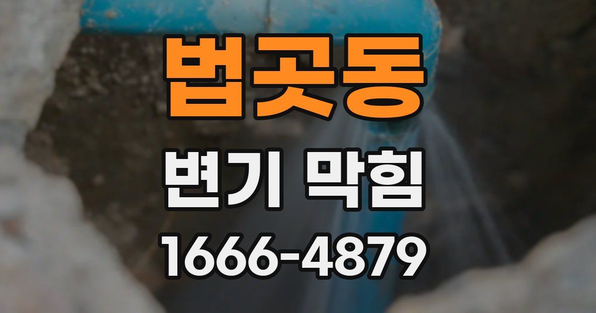 법곳동 변기 막힘