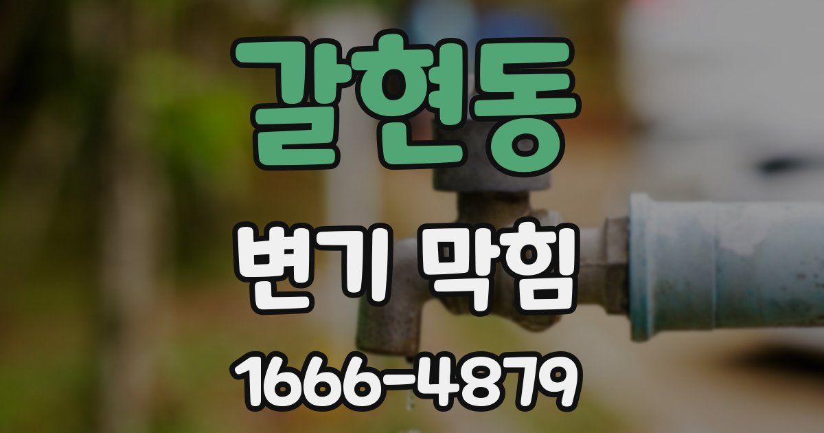 갈현동 변기 막힘