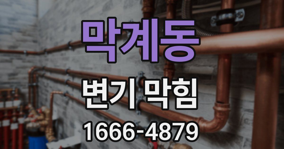 막계동 변기 막힘