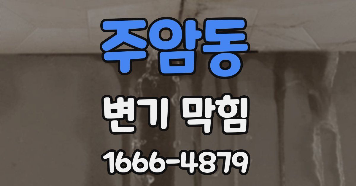 주암동 변기 막힘