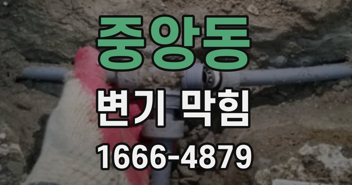 중앙동 변기 막힘