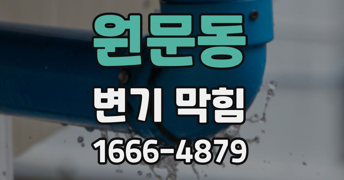 원문동 변기 막힘
