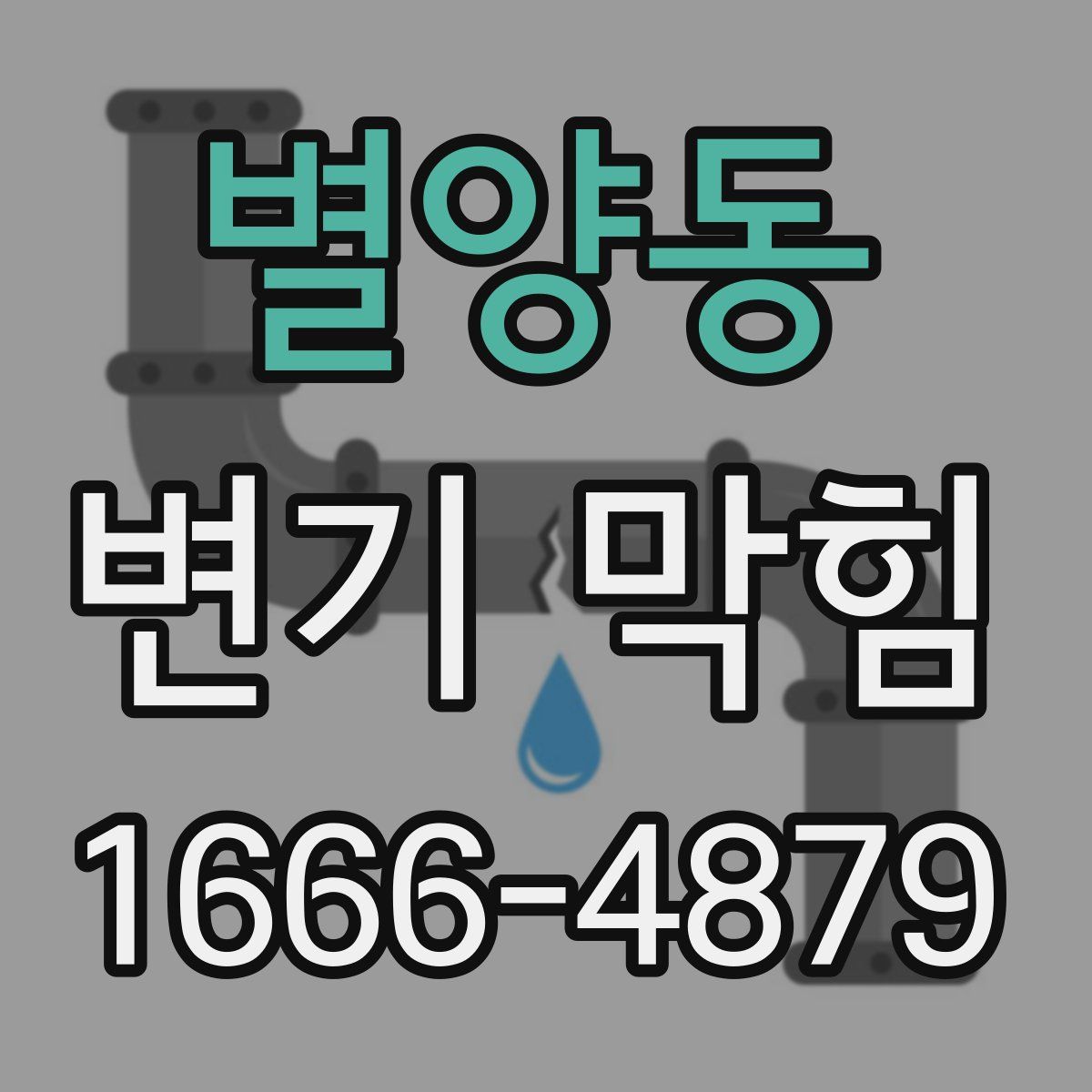 별양동 변기 막힘