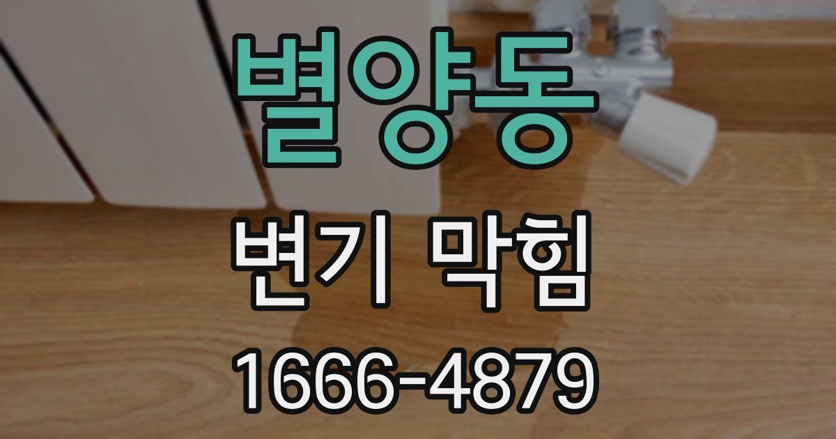 별양동 변기 막힘