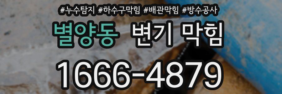 별양동 변기 막힘