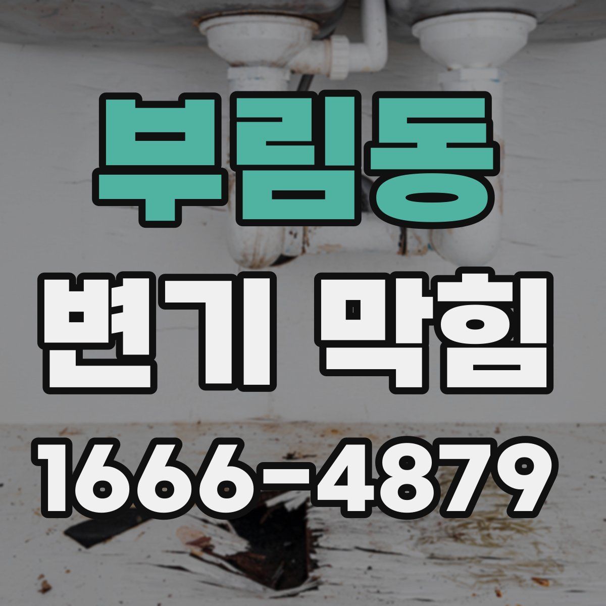 부림동 변기 막힘