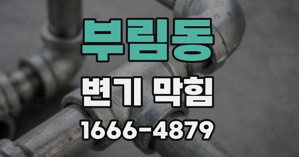 부림동 변기 막힘