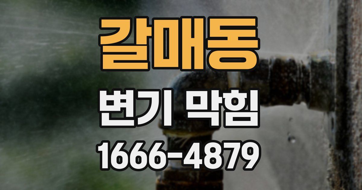 갈매동 변기 막힘