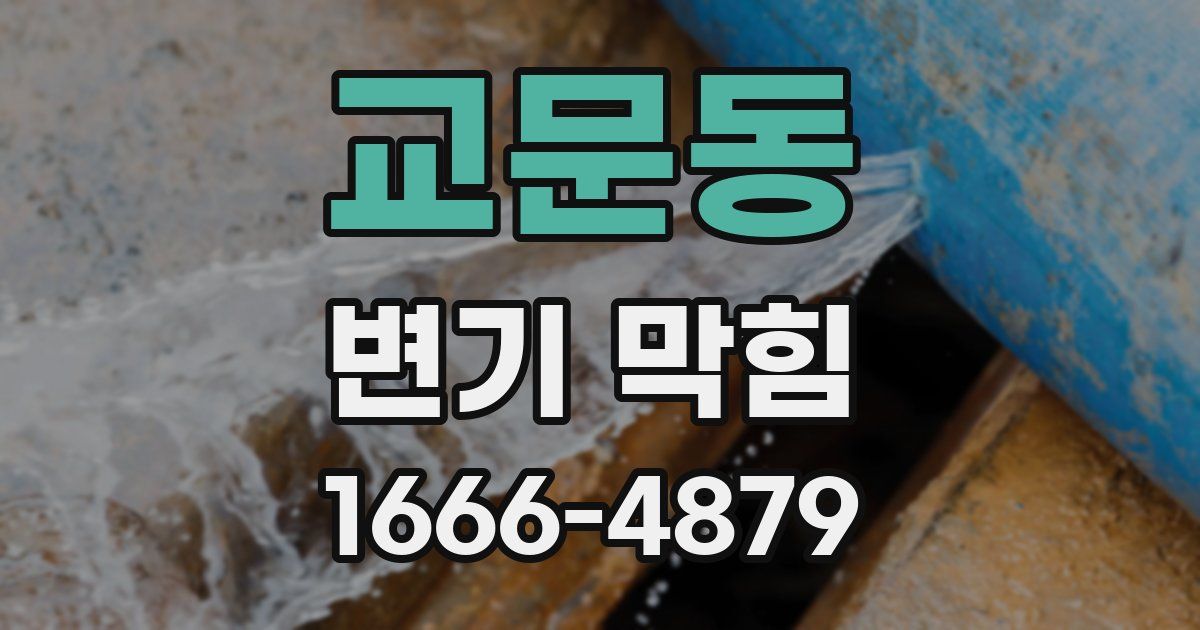 교문동 변기 막힘