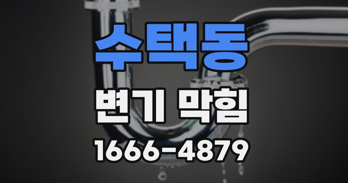 수택동 변기 막힘