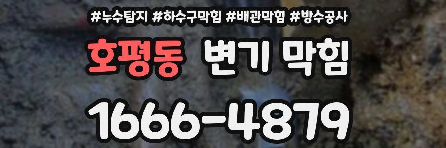 호평동 변기 막힘