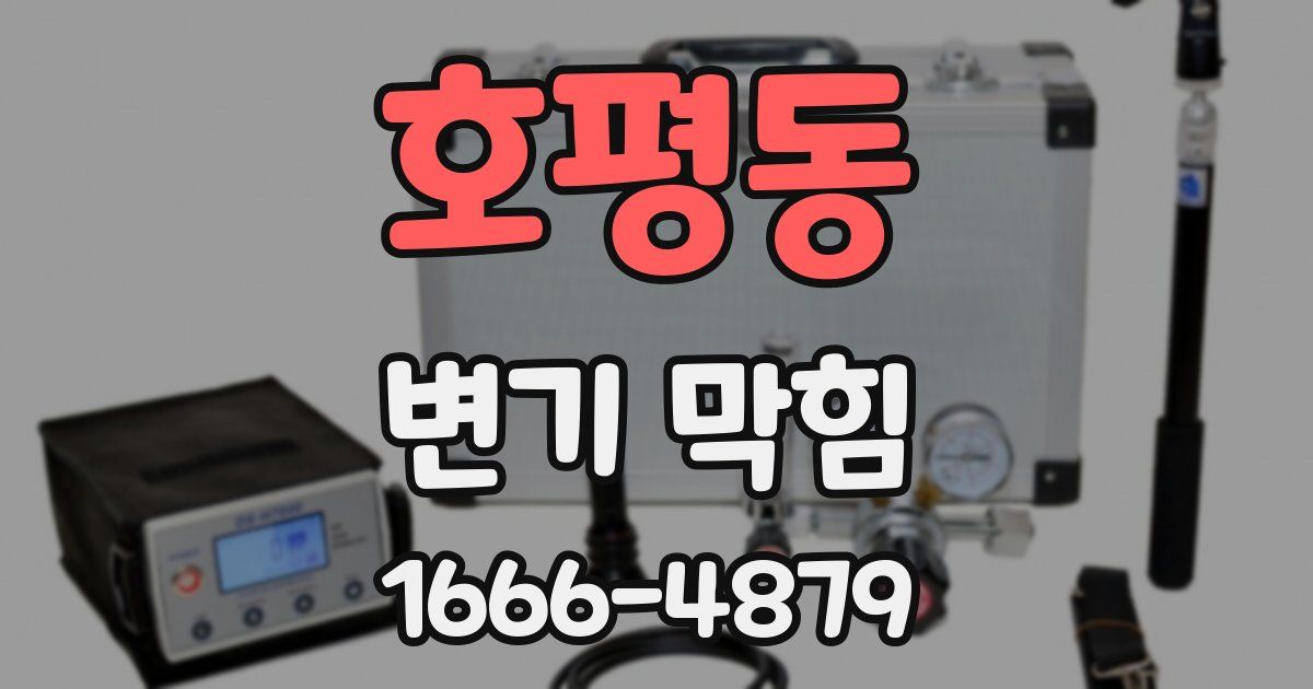 호평동 변기 막힘