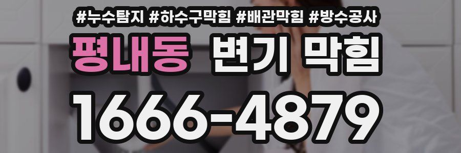 평내동 변기 막힘