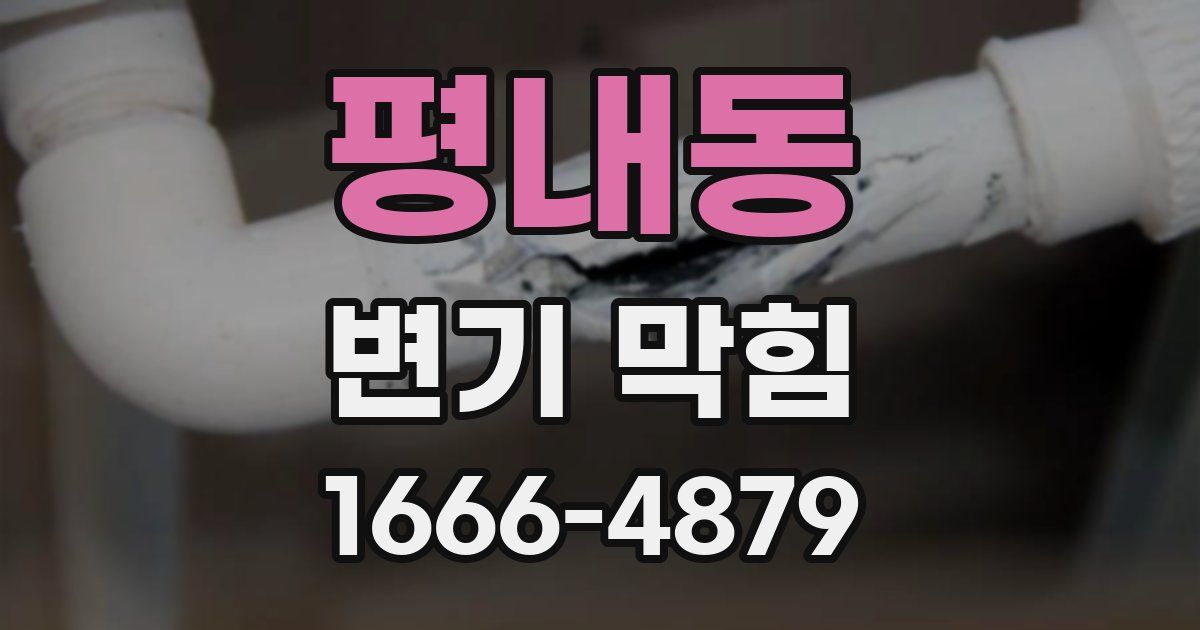 평내동 변기 막힘
