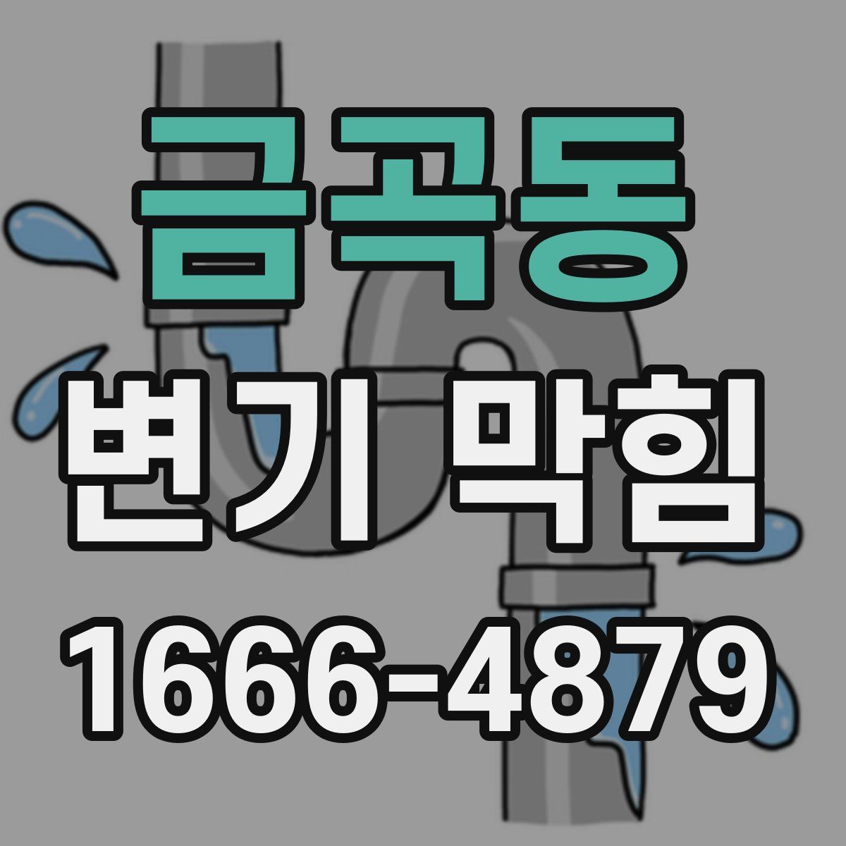 금곡동 변기 막힘