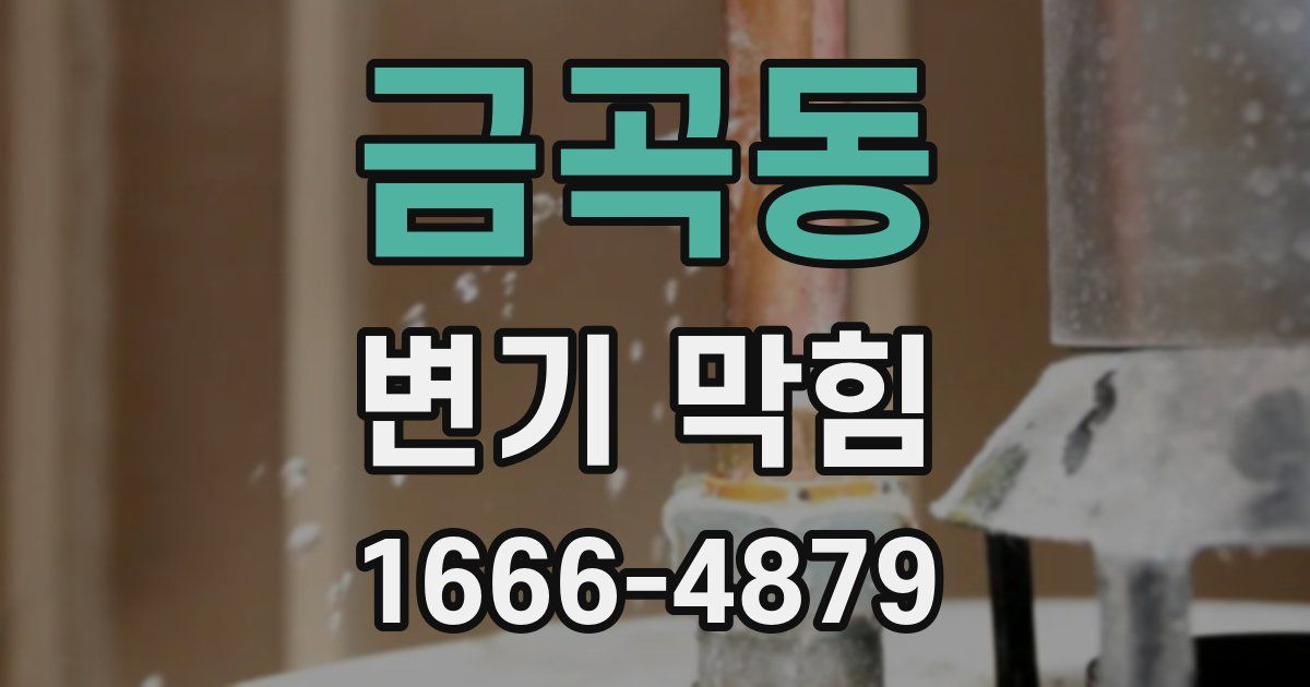 금곡동 변기 막힘
