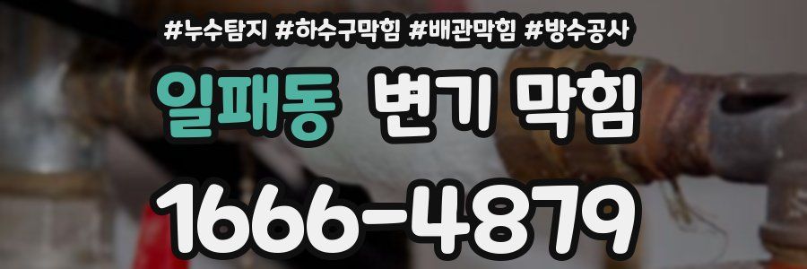일패동 변기 막힘