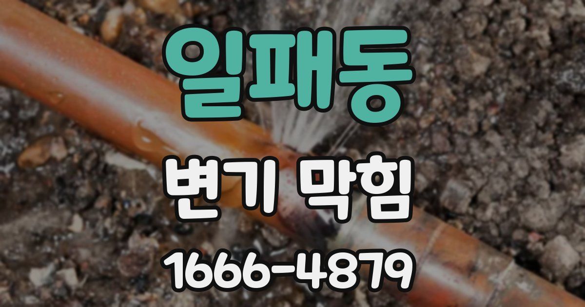 일패동 변기 막힘