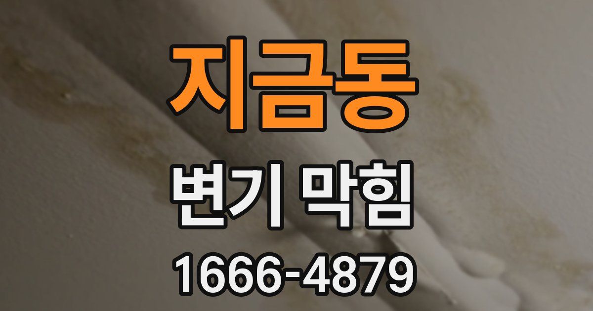 지금동 변기 막힘