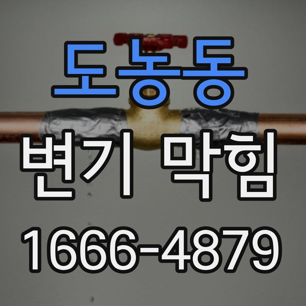 도농동 변기 막힘