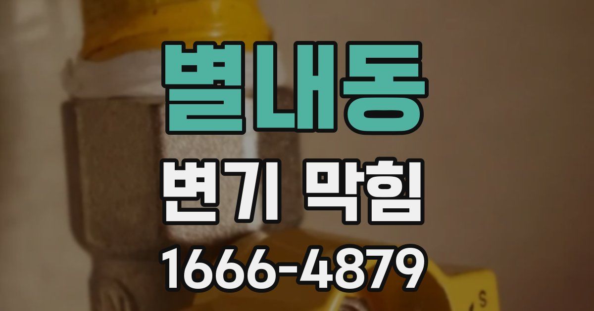별내동 변기 막힘